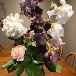 Meet your Posher, Margarita